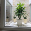 Отель Guest House Recanto Da Montanha, фото 6