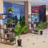 Отель Elan Inn Funan Tianzhu Plaza, фото 5