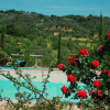 Отель Casa Olivo, фото 8