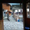 Отель Jishou Fengyuqiao Inn, фото 3