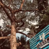 Отель Sanya Neighborhood Return to Nature Homestay (Haitang Bay Duty Free City Branch), фото 19