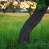 Отель Masseria Ciavea, фото 11