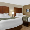 Отель Comfort Inn & Suites Airport, фото 3