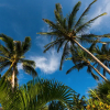 Отель Villa Marunga Luxury and Ocean View, фото 25