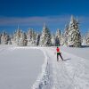 Отель Ski Apartment Frigo Pohorje 2, фото 14