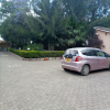 Отель Palm Airport Suites, фото 24