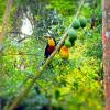 Отель Chacra del Agua -Home Lodge and Kayak, фото 33