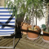 Отель Guest House Le 44, фото 7