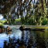 Отель Lazy Acres Farm And Suites, фото 16