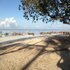 Отель Ocean Breeze Lodge, фото 20