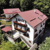 Отель Pensiunea Thomas, фото 3