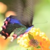 Отель Yamaya B&B, фото 11