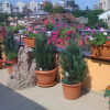Отель Penthouse Centru Civic, фото 5