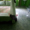 Отель Rwathia Club Boarding & Lodging, фото 16