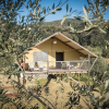 Отель Podere Cortesi - Lodge il Cipresso, фото 11