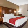 Отель Comfort Suites Salisbury I-85, фото 7