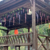 Отель Tianmushan Old Lady Villa, фото 3