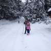 Отель Kiwassa Lake Bed & Breakfast, фото 12