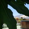 Отель Posada Alpujarra Sol, фото 12