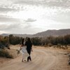 Отель The Bungalows by Homestead Modern at The Joshua Tree Retreat Center, фото 24