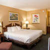 Отель Grand Idaho Inn & Suites, фото 25