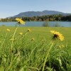 Отель Spacious Apartment Near Ski Area In Muhldorf, фото 11