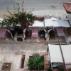 Отель Villa Hania, фото 18
