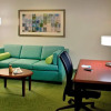 Отель SpringHill Suites Philadelphia Plymouth Meeting, фото 15