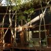 Отель Ojo de Arbol, Boutique Cabin in the Real Jungle, фото 5