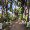 Отель Mango Tree Farm, фото 23