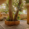 Отель Suites Ejecutivas, фото 10