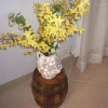 Отель Villa Mafalda, фото 11