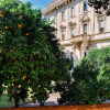 Отель Amazing Flat for 6 People Close to Colosseum, фото 1