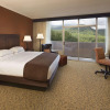 Отель The Park Vista - a DoubleTree by Hilton Hotel - Gatlinburg, фото 2