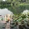 Отель Trang An Lotus Lake Homestay, фото 15