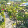 Отель Danyang Sainam Landscape Pension, фото 13