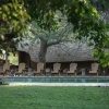 Отель Mashatu Lodge - Mashatu Game Reserve, фото 13