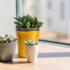 Отель Guestready - Everflowing, фото 10