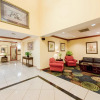 Отель Holiday Inn Express Hotel & Suites Tampa-Fairgrounds-Casino, an IHG Hotel, фото 2