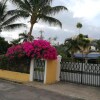 Отель Studio in Flic en Flac, With Enclosed Garden and Wifi - 400 m From the Beach во Флик-ан-Флаке