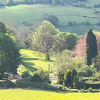 Отель Stroud's Golden Valley 2-bedroom Apartment Retreat, фото 13