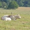 Отель Quietude A La Ferme, фото 19