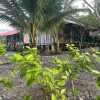 Отель Posada Ecoturística Chachita, фото 13