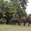 Отель Malikha Lodge, фото 2