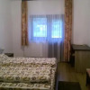 Отель Pensiunea Ioana, фото 4