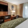Отель Comfort Inn & Suites Diamondale – Lansing, фото 28