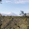 Отель Hacienda Jimenita Wildlife Reserve, фото 8