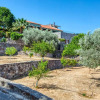 Отель Terra Casa Private Villa in Aegina Island, фото 1