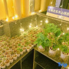 Отель Dongshan Island Xingfuli Homestay, фото 7