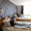 Отель Braeside Guesthouse, фото 13
